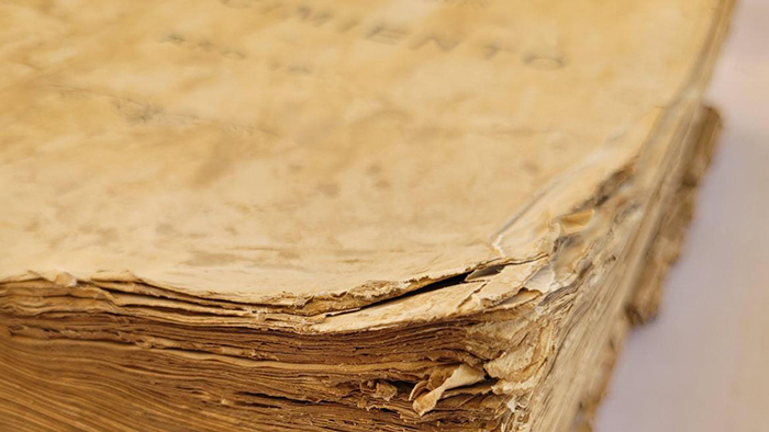 La financiación de estos trabajos, realizados por el Institut Valencià de Conservació i Restauració i Investigació (IVCR+i), se enmarca en la colaboración prestada por el Gobierno regional al Consell de la Generalitat y a los municipios de L’Horta Sud para contribuir a la recuperación tras los daños ocasionados por esta catástrofe.  Los documentos conservaban registros de nacimientos producidos en la localidad valenciana entre 1824 y 2019. La actuación ha consistido en una limpieza superficial minuciosa para eliminar restos de barro y sedimentos adheridos a cubiertas y bloques de texto, así como la consolidación y reparación de desgarros y roturas.  Debido al mal estado de las encuadernaciones originales, se ha procedido a la reencuadernación de todos los libros con el fin de restituir su estabilidad estructural, garantizar su correcta funcionalidad y asegurar unas condiciones adecuadas para su conservación y futura consulta.  Una vez finalizada la intervención, el Institut Valencià de Conservació i Restauració i Investigació ha devuelto los documentos al archivo del Registro Civil de Catarroja. Además de estos trabajos, el IVCR+i está interviniendo en las dependencias cedidas por la Diputación de Castellón, piezas textiles procedentes de Algemesí, La Torre y Chiva, y esculturas de Paiporta y Picanya, las más afectadas por la riada.